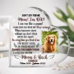 Heart-Shaped Acrylic Plaque YC