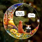Circle Acrylic Ornament