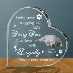 Heart-Shaped Acrylic Plaque YC