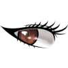 Eyes (8)