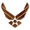 AIR FORCE