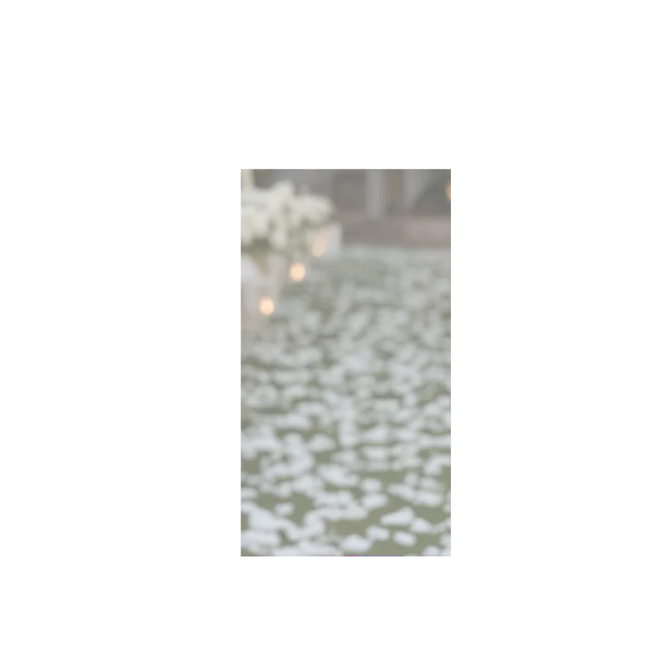 mk web