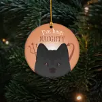 Christmas Ornament Acrylic