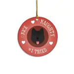 Christmas Ornament Acrylic