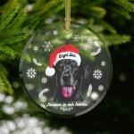 Glass Ornament