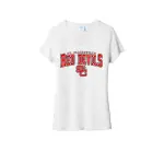 Ladies Tri-Blend V-Neck Tee