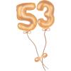 53